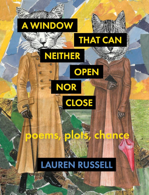 Book cover image for A Window That Can Neither Open Nor Close ISBN: 9781571315670